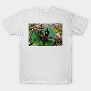 Bird In The Forest T-Shirt